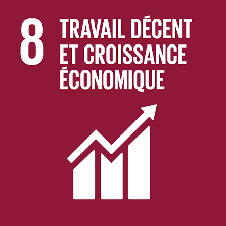 Objectif de développement durable 8 : Travail décent et croissance économique